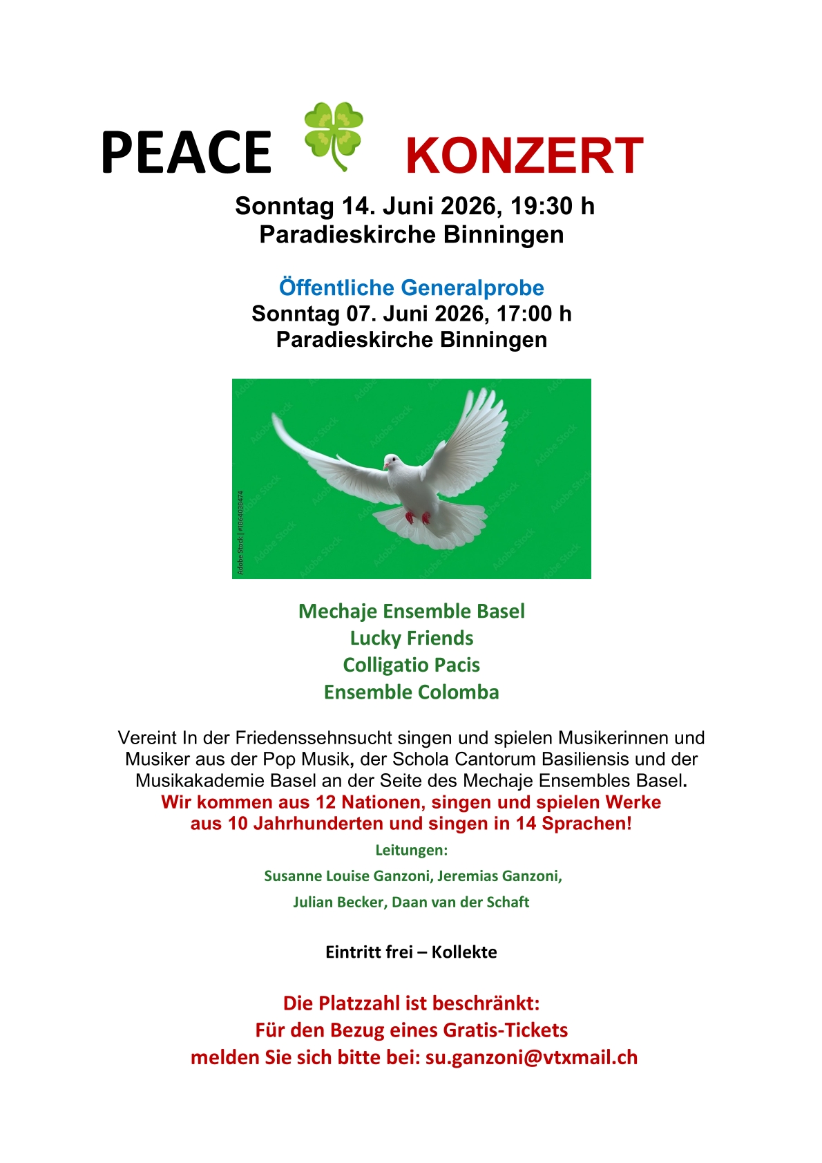 Flyer PEACE Konzert 2026